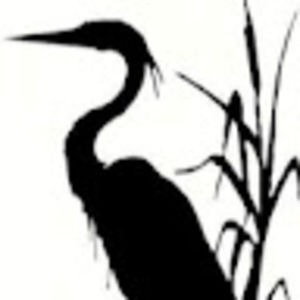 Meet your Posher, Dwan